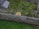 image of grave number 913505